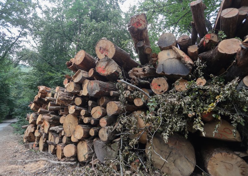 UGP tvrdi da Hrvatske šume uništavaju Požgaj Grupu