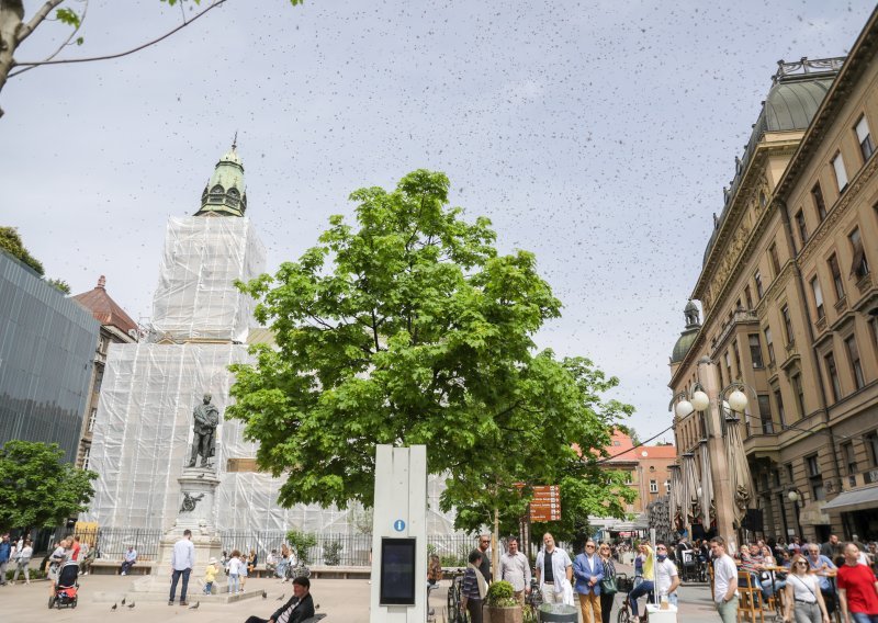 [VIDEO/FOTO] Pogledajte rojeve pčela koje su uplašile građane u centru Zagreba