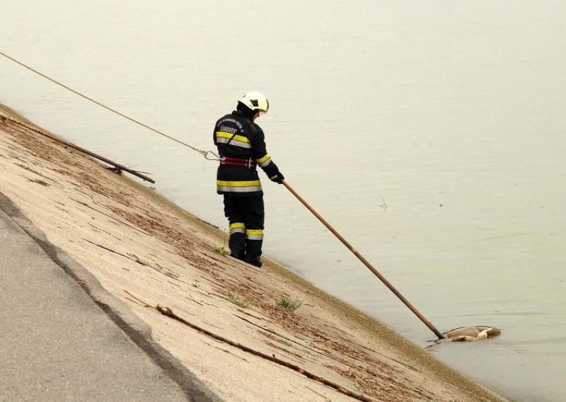 U Dravi pronađen mrtav muškarac