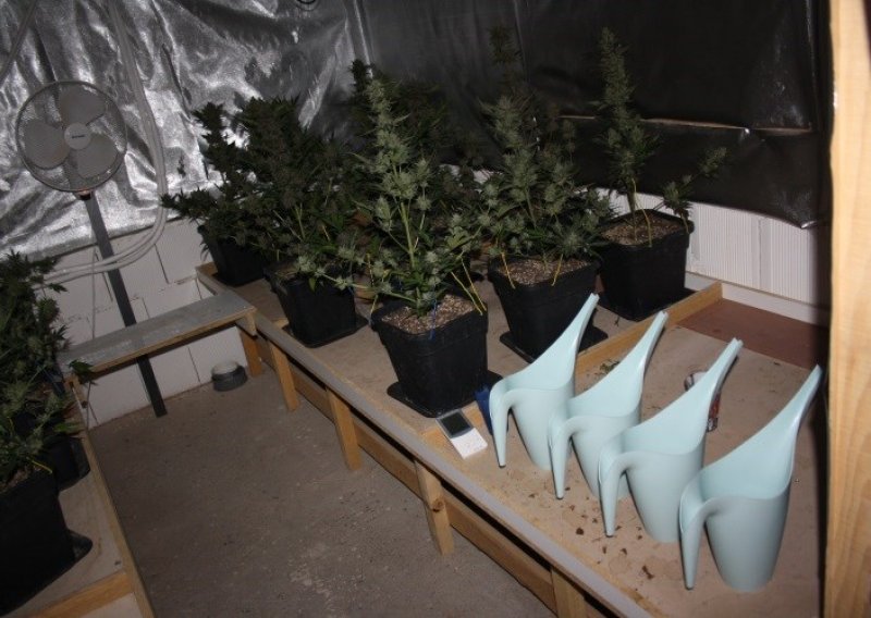 U kući u Klinča Selu nađen laboratorij i više od 25 kilograma marihuane