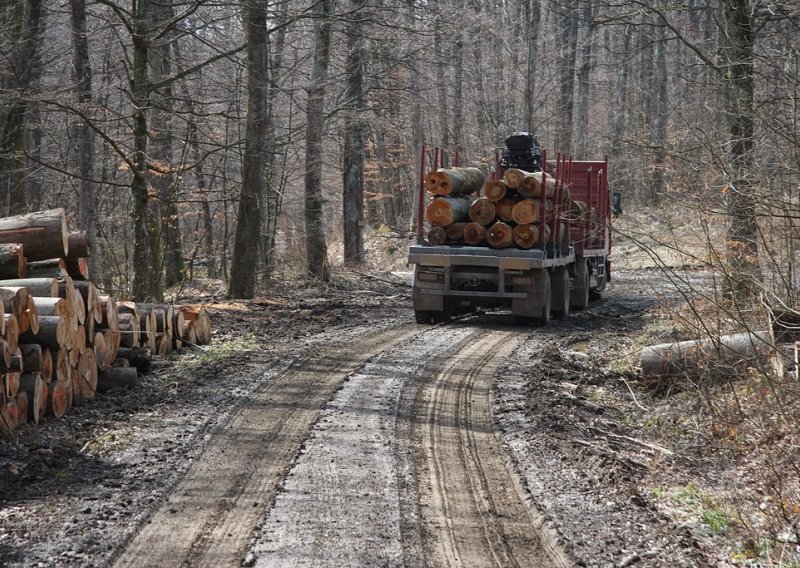 'Nestalim' popratnicama šumari oštetili šumariju