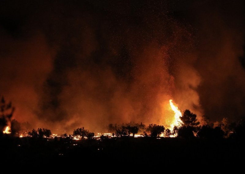 U Rusiji bukte 264 šumska požara, gase ih više od 4700 ljudi