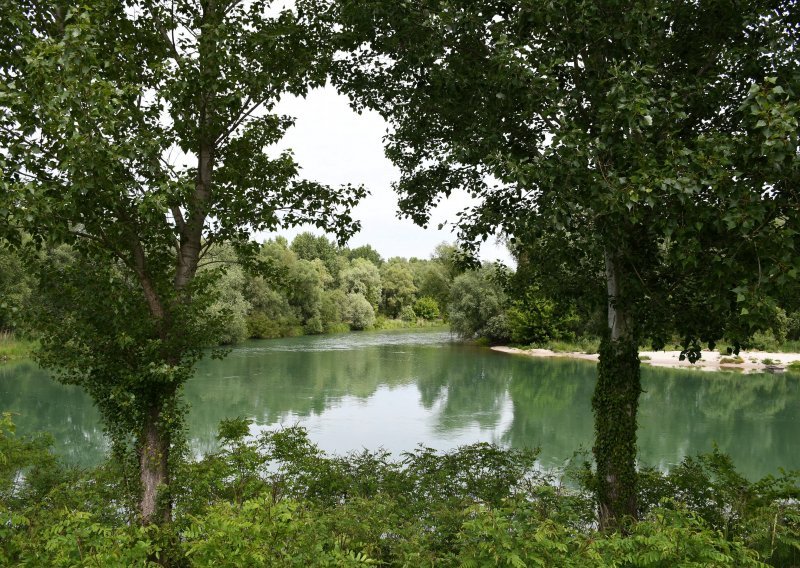 Nepoznata divlja zvijer luta kroz šikare i polja na granici Podravine i Međimurja, građane se moli da joj se ne približavaju