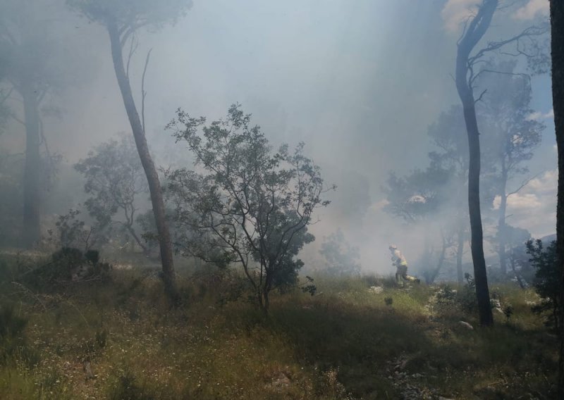 [FOTO/VIDEO] Ugašen požar na Marjanu! Splitski vatrogasci poslali nekoliko vozila na teren