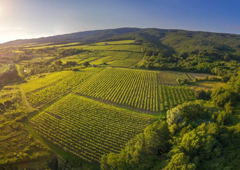 Vodimo vas na izlet u regiju Lijepe naše koja će vas oduševiti na svakom koraku i usput donosimo recept za vinogradarski ćevap koji morate probati!