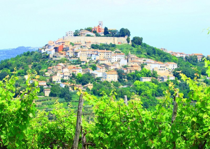 Motovun Film Festival otvara film 'Lovci na tartufe'