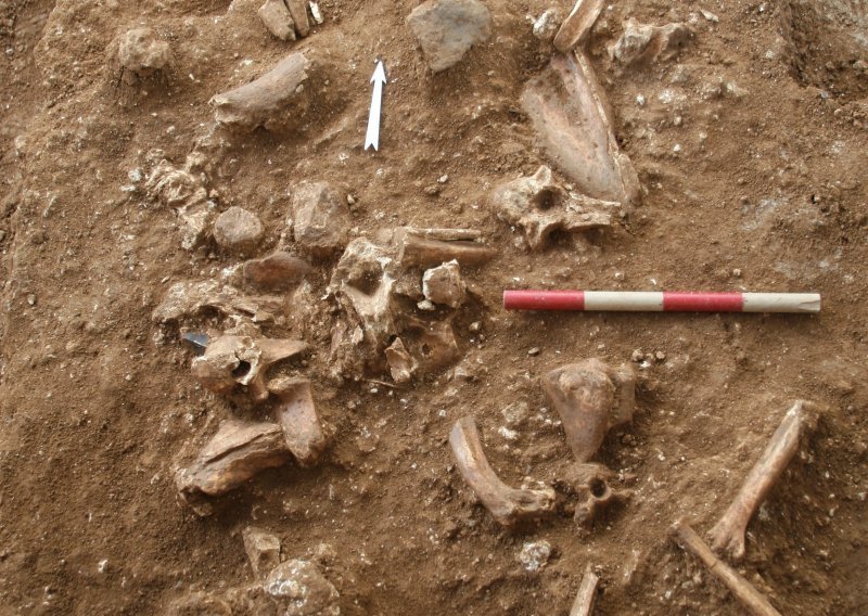 Kosti nepoznata prethistorijskog čovjeka pronađene u Izraelu