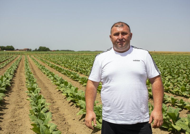 Nova udruga Tabacum želi povećati proizvodnju duhana u Podravini i Slavoniji