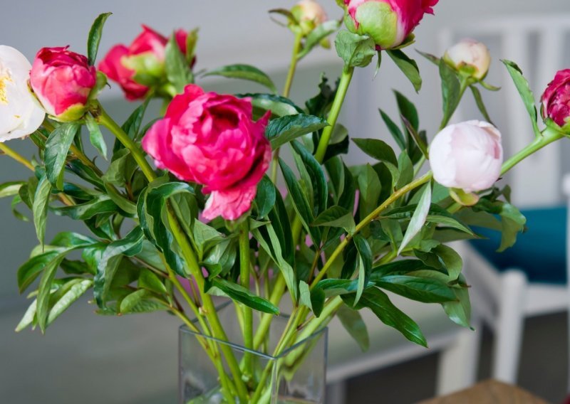 Obožavate sezonsko cvijeće u vazi, no ne volite to što vrlo brzo počne venuti? Uz ove savjete danima će izgledati svježe i živahno