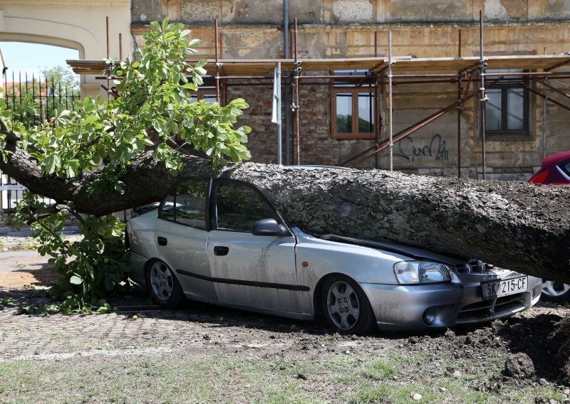 Na vinkovačkom području vjetar lomio krošnje drveća, okolica Osijeka bez struje