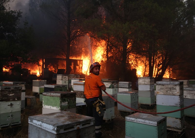Vatra guta sjeverna predgrađa Atene, grčki premijer: Glavni prioritet je spasiti živote ljudi