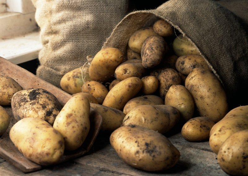 Zbog suše nikad manji urod krumpira, proizvođači očekuju veće otkupne cijene