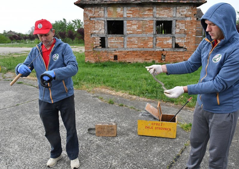 Strava na dječjem igralištu u Slavonskom Brodu; otrovna riđovka ugrizla 7-godišnjaka