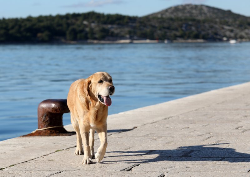 Jutro sunčano, kiša popodne stiže u Gorski kotar, Liku i na sjeverni Jadran