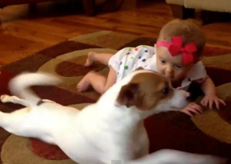 Pas podučava bebu kako puzati