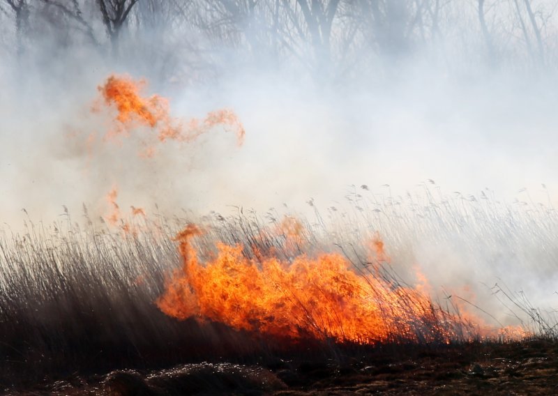 U Karlovcu pri spaljivanju pokošene trave umro 80-godišnjak