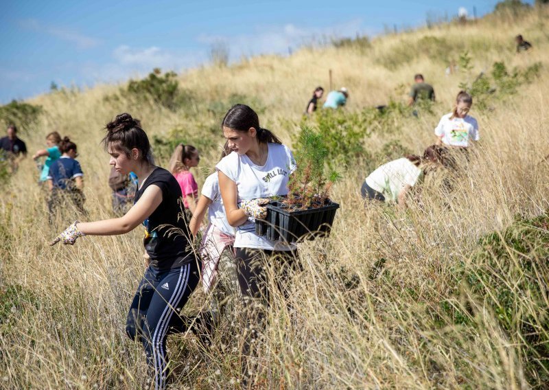 Počela Boranka, najveća volonterska akcija pošumljavanja požarišta u Europi