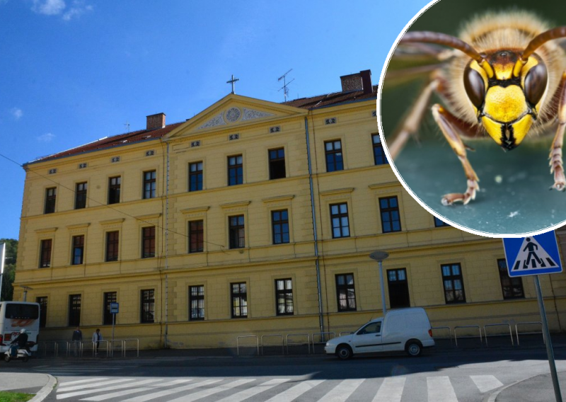 [FOTO] Stršljeni napali i izboli učenike i nastavnike, a žena iz HGSS-a zaradila čak 10 uboda, zadržana je u bolnici