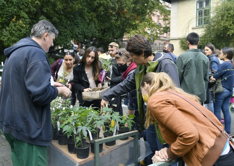 [FOTO] Ogromna gužva pred Botaničkom vrtom: Na rasprodaji i kamenjarka za čije branje u prirodi možete biti kažnjeni do 30.000 kuna