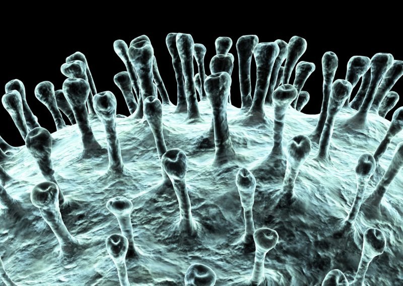 Umanjuju li 'uljepšane' fotografije koronavirusa strah od zaraze?