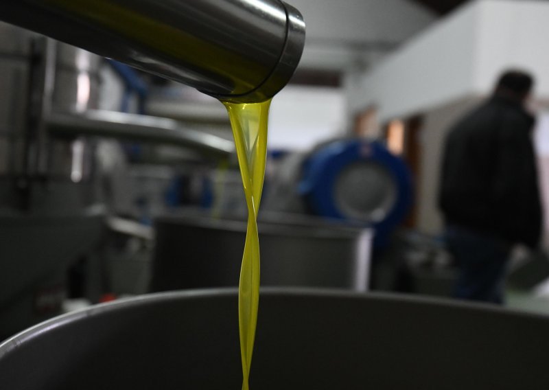 Urod u Istri i Dalmaciji podbacio, maslinovo ulje i do 150 kuna po litri