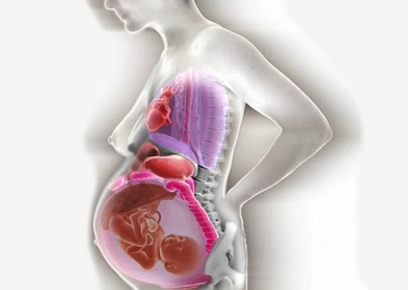 Pogledajte što točno trudnoća čini ženskom tijelu