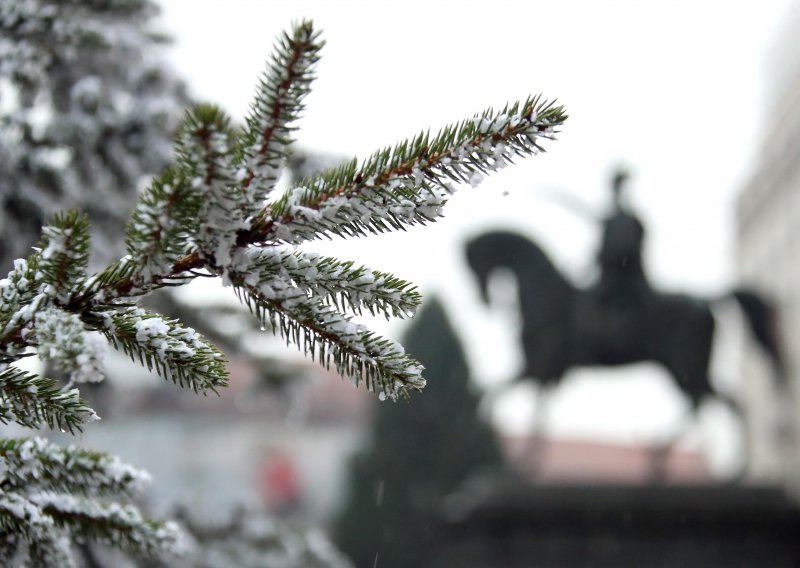 [FOTO/VIDEO] Na glavni zagrebački trg stigla božićna jelka, a njome počinje i Advent u Zagrebu 2021.