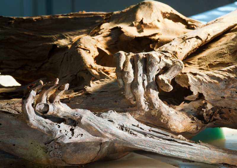 U Peruu pronašli mumiju staru 800 godina
