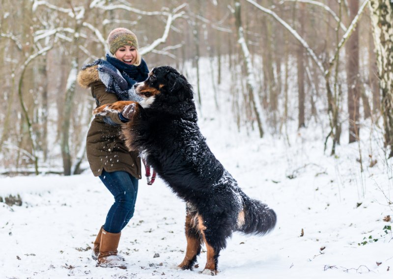 Purina Unleashed program u Hrvatskoj traži inovativne start-upove ko-jima su u fokusu ljubimci