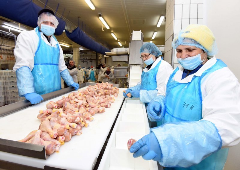 Prijeti li Hrvatskoj zbog ptičje gripe nestašica mesa peradi?