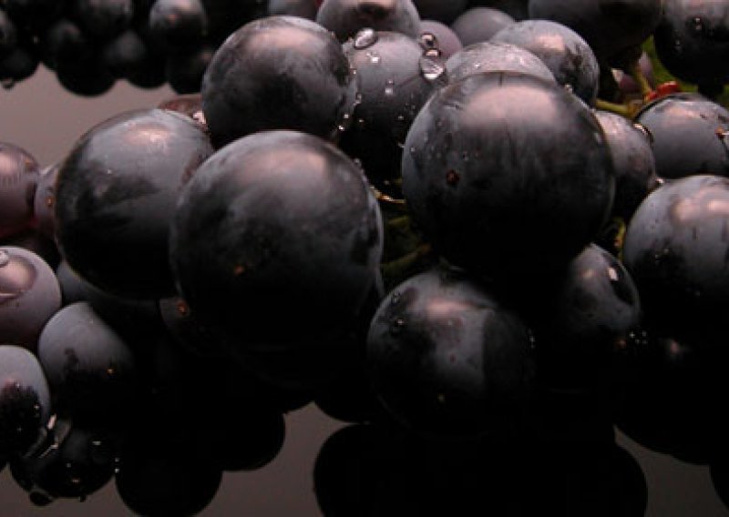 Agrokor izgubio pravo na otkup grožđa u Makedoniji
