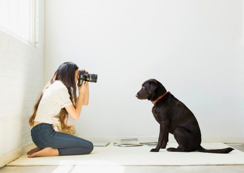 Ovo je šest trikova za savršenu fotografiju vašeg kućnog ljubimca