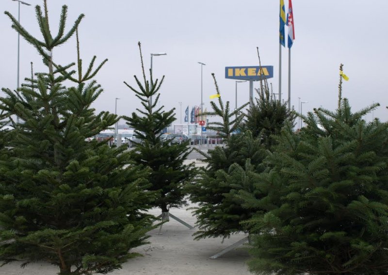 U Ikei uz kupovinu božićnog drvca poklanjaju 90 kuna