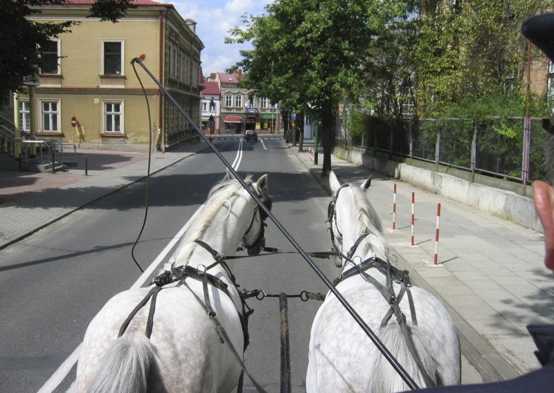Vozaču konjske zaprege kazna od 1.200 eura