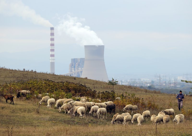 'Krški pašnjaci' nezadovoljni Strateškim planom jer im oduzima 90 posto potpora