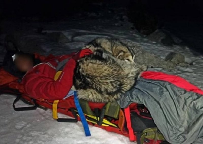 Pas nastradalog planinara na Velebitu grijao svojim tijelom sve do dolaska HGSS-a