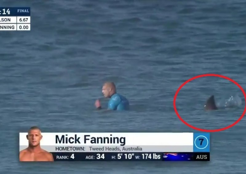 Morski pas napao surferskog šampiona – u izravnom prijenosu!