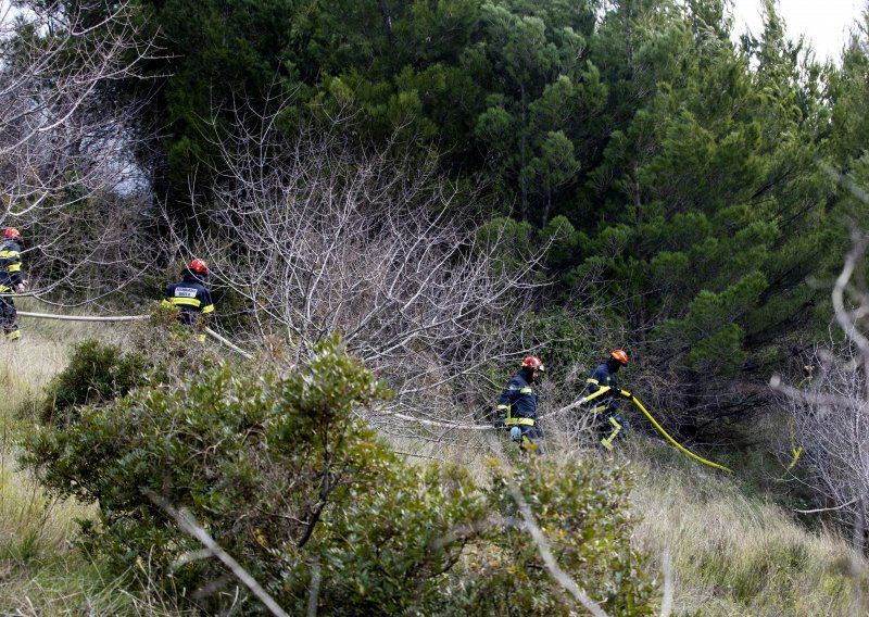 Još gori u Lokvi Rogoznici; vatra progutala 100 hektara borove šume
