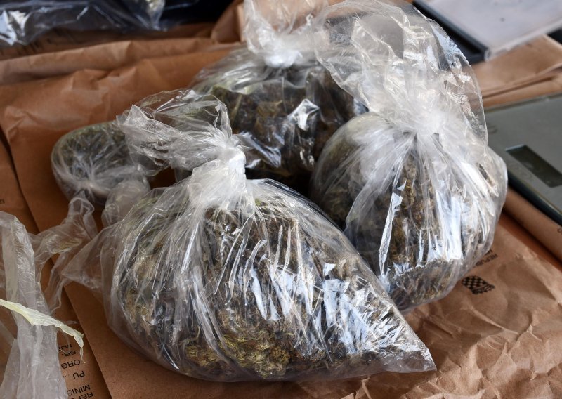 Mladiću u stanu u Makarskoj policija otkrila 800 grama marihuane