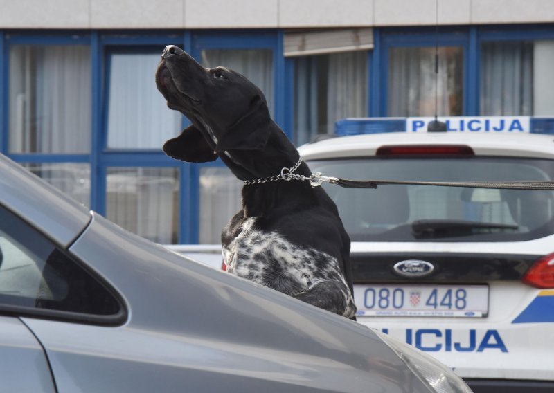 Policijski pas Dux muškarcu u stanu u Rovinju pronašao gotovo 700 grama marihuane