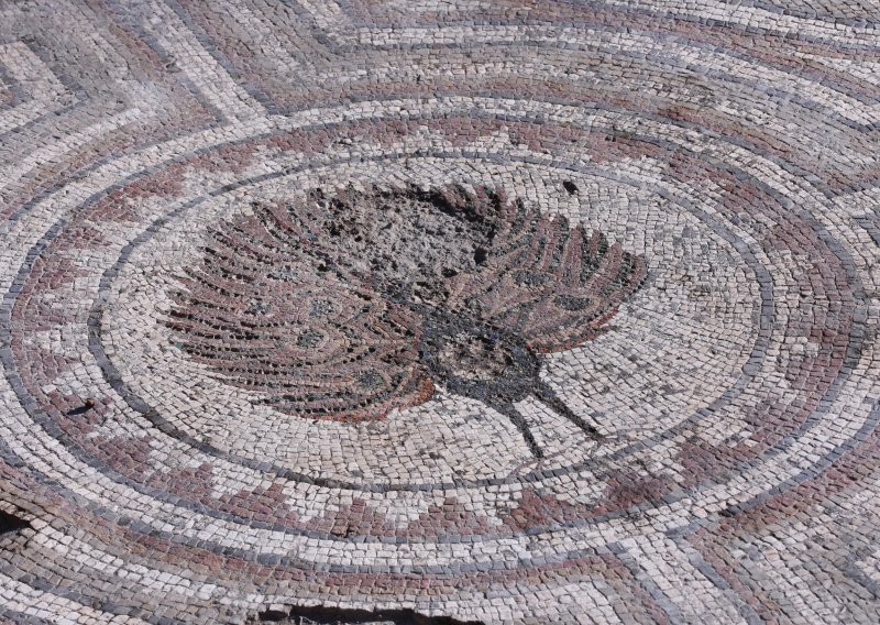 Arheološko otkriće godine u Solinu: I Salonitanci su znali da je paun simbol vječnog života