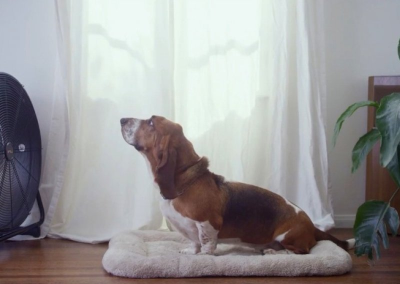 Ova reklama savršeno opisuje vezu čovjeka i psa