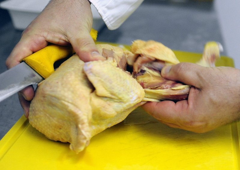 Zbog salmonele pala prodaja mesa peradi do 40 posto