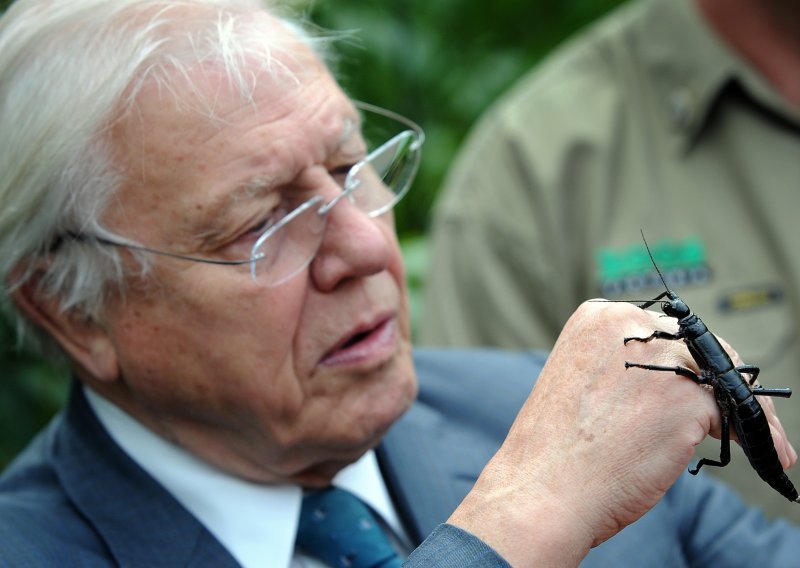 Attenborough, WHO i Tihanovska među kandidatima za Nobela za mir