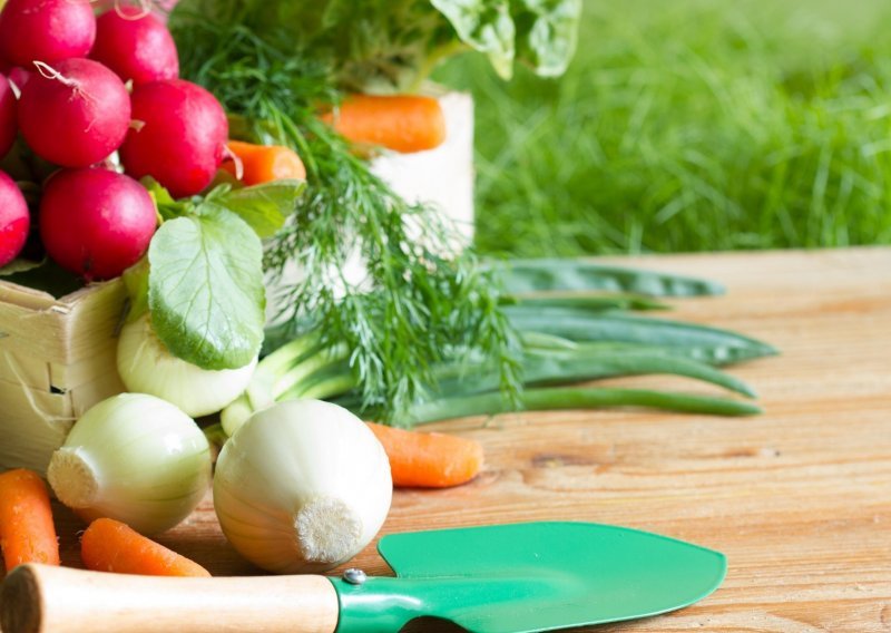 Od zelene salate i cikle do rotkvica i graška: Ovo je najbolje povrće za sadnju u rano proljeće