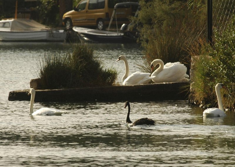 Zašto ugrožavamo opstanak našeg 'podzemnog Galapagosa'