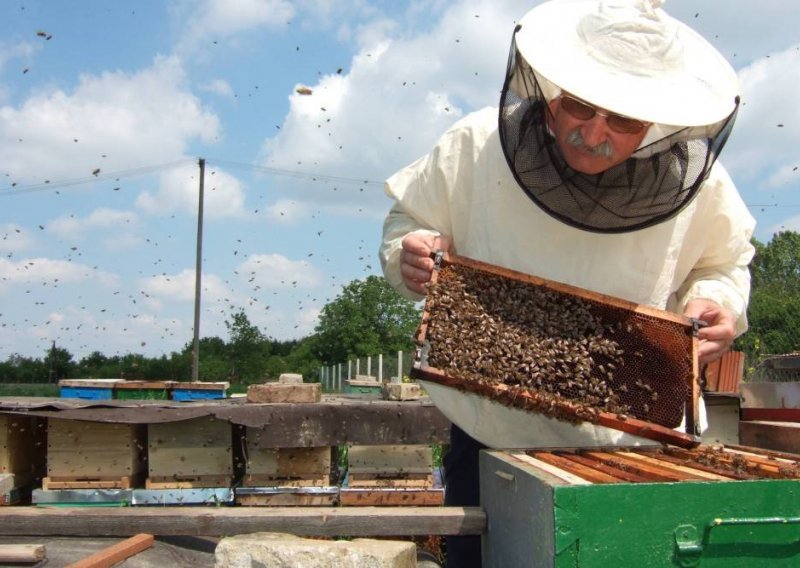 Pčelarima ove godine devet milijuna kuna