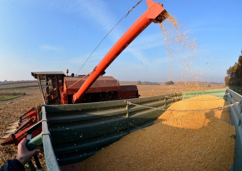 Španjolska zbog ruske invazije ostala bez kukuruza, planiraju interventnu nabavu iz Argentine i SAD-a