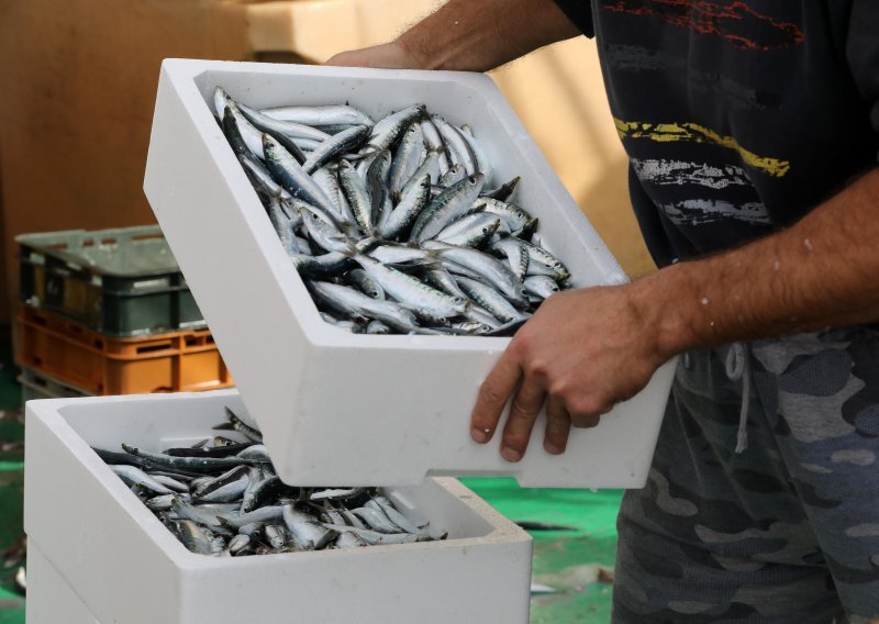 Zbog globalne krize država ribarima osigurala 75 milijuna kuna pomoći