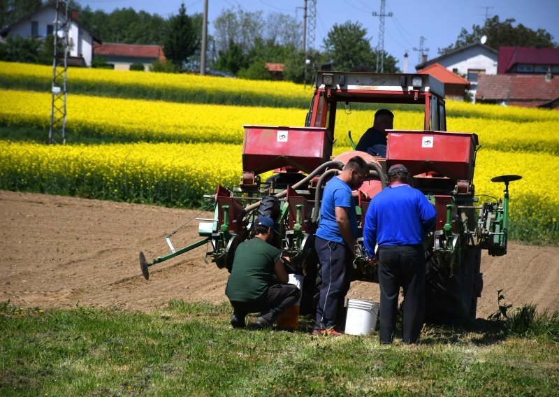 Velika prilika za poljoprivrednike: Ministarstvo dodijelilo 33 ugovora iz Programa ruralnog razvoja